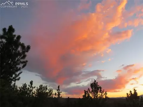 337 Blue Spruce Rd, Divide, CO 80814 photo 26