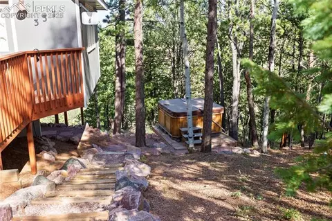 337 Blue Spruce Rd, Divide, CO 80814 photo 23
