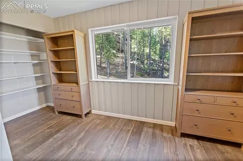 337 Blue Spruce Rd, Divide, CO 80814 photo 33