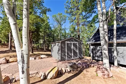 337 Blue Spruce Rd, Divide, CO 80814 photo 24