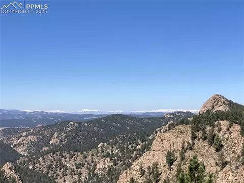 337 Blue Spruce Rd, Divide, CO 80814 photo 3