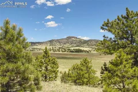 129 Eagle Nest Trl, Guffey, CO 80820