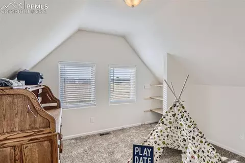 61 Stripling Ln, Divide, CO 80814 photo 17