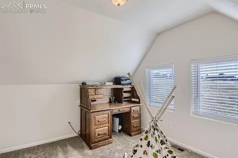 61 Stripling Ln, Divide, CO 80814 photo 18