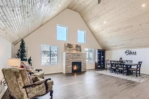 61 Stripling Ln, Divide, CO 80814 photo 8