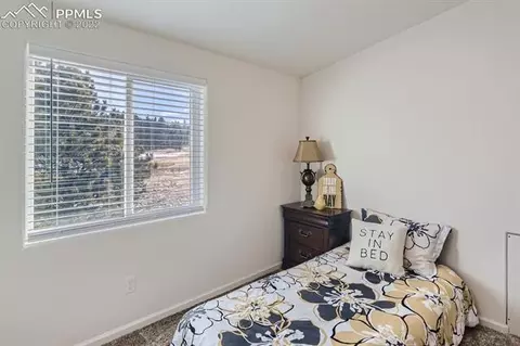 61 Stripling Ln, Divide, CO 80814 photo 22