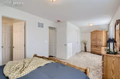61 Stripling Ln, Divide, CO 80814 photo 13