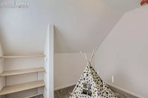 61 Stripling Ln, Divide, CO 80814 photo 19