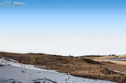 61 Stripling Ln, Divide, CO 80814 photo 3