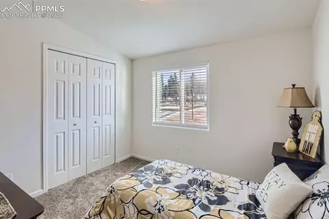 61 Stripling Ln, Divide, CO 80814 photo 21