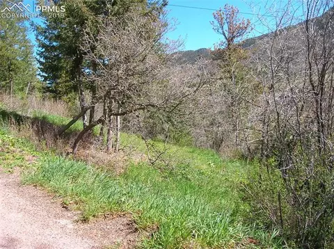 9710 Mohawk Trl, Cascade, CO 80809 photo 2