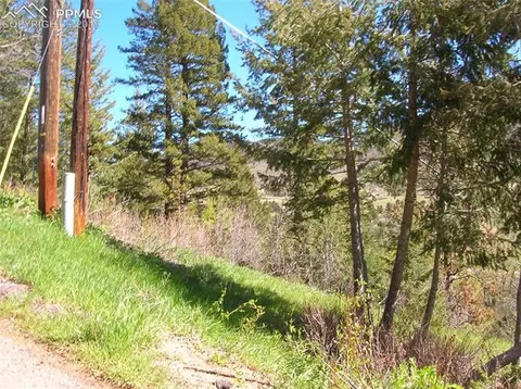 9710 Mohawk Trl, Cascade, CO 80809 photo 3