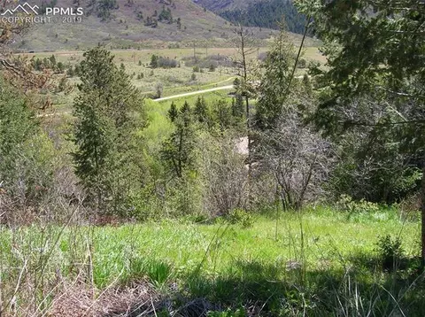 9710 Mohawk Trl, Cascade, CO 80809 photo 4