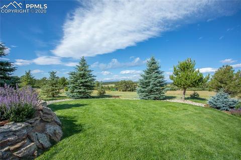 10326 Red Cloud Trl, Elbert, CO 80106 photo 3