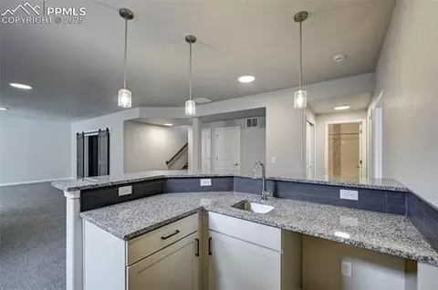 366 Hardstone Dr, Monument, CO 80132 photo 35