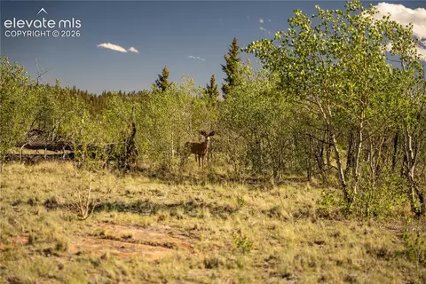 1280 Antler Ridge Rd, Como, CO 80432 photo 29