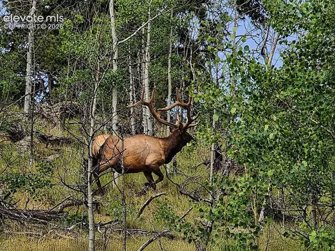 1280 Antler Ridge Rd, Como, CO 80432 photo 34