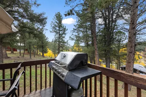 Exterior - 391 Timber Ridge Rd, Divide, CO 80814 photo 9 of 14