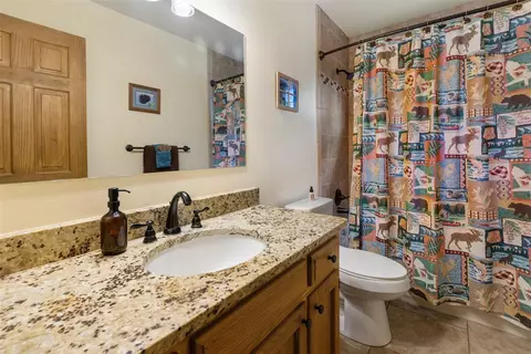 Bath - 391 Timber Ridge Rd, Divide, CO 80814 photo 1 of 1