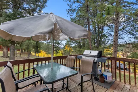 Exterior - 391 Timber Ridge Rd, Divide, CO 80814 photo 10 of 14