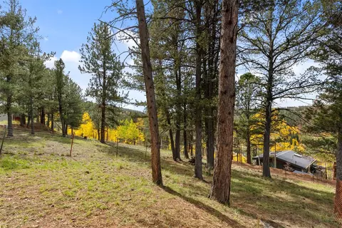 Exterior - 391 Timber Ridge Rd, Divide, CO 80814 photo 7 of 14
