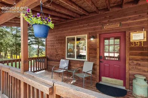 Exterior - 391 Timber Ridge Rd, Divide, CO 80814 photo 3 of 14