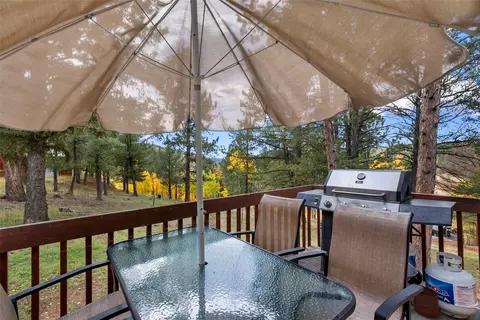 Exterior - 391 Timber Ridge Rd, Divide, CO 80814 photo 6 of 14