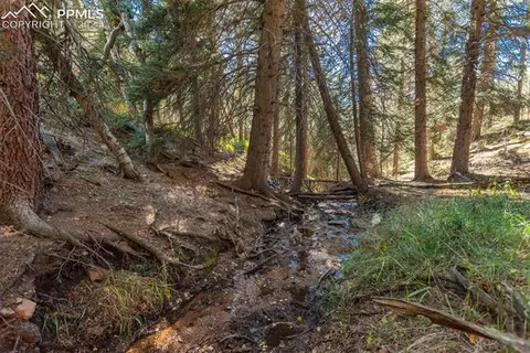 24151 Black Bear Ln, Conifer, CO 80433 photo 8