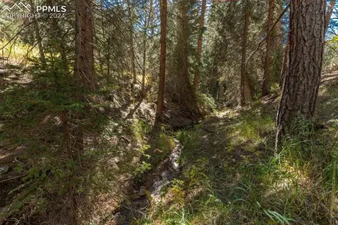 24151 Black Bear Ln, Conifer, CO 80433 photo 9