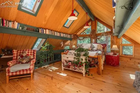 24151 Black Bear Ln, Conifer, CO 80433 photo 22