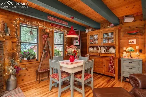 24151 Black Bear Ln, Conifer, CO 80433 photo 18