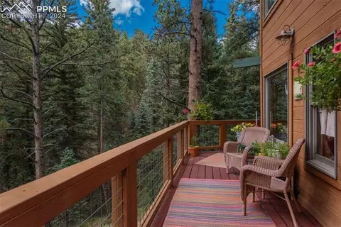 24151 Black Bear Ln, Conifer, CO 80433 photo 4