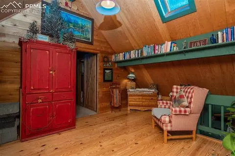 24151 Black Bear Ln, Conifer, CO 80433 photo 23