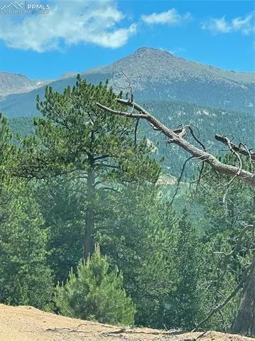 L8 Horseshoe Drive, Divide, CO 80814