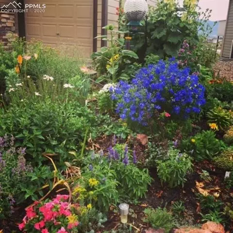 17866 Mining Way, Monument, CO 80132 photo 17