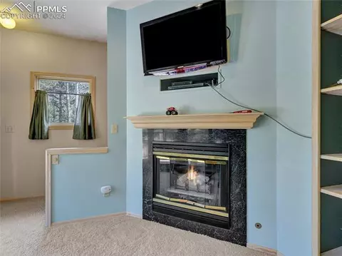 4955 Dodd Rd, Cascade, CO 80809 photo 22