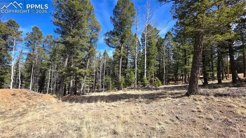 19 Serenity Cir, Florissant, CO 80816