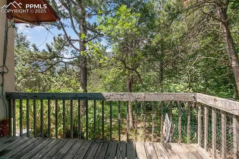 4415 Heizer St, Cascade, CO 80809 photo 18