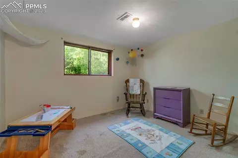 4415 Heizer St, Cascade, CO 80809 photo 33