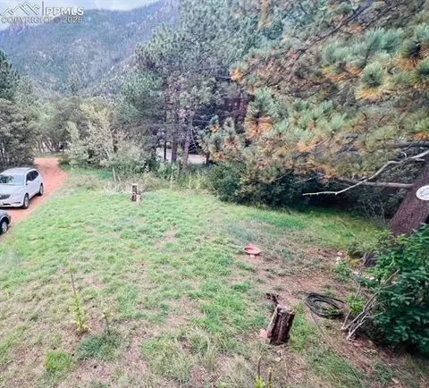 4415 Heizer St, Cascade, CO 80809 photo 50