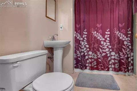 4415 Heizer St, Cascade, CO 80809 photo 30