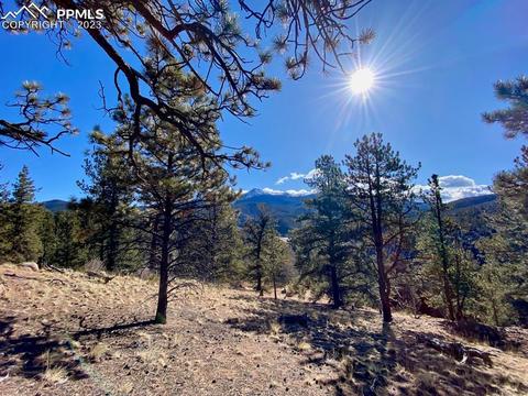 397 Blue Spruce Rd, Divide, CO 80814 photo 1