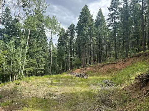 272 Fern Valley Rd, Manitou Springs, CO 80829