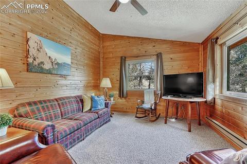 1264 Ridge Rd, Divide, CO 80814 photo 10