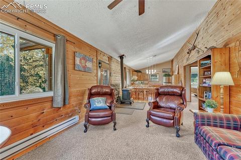 1264 Ridge Rd, Divide, CO 80814 photo 11