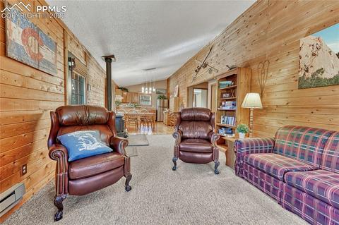1264 Ridge Rd, Divide, CO 80814 photo 12