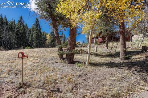 1264 Ridge Rd, Divide, CO 80814 photo 8