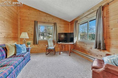 1264 Ridge Rd, Divide, CO 80814 photo 13