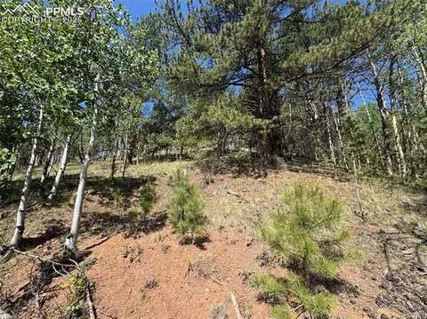 281 Pikes Peak Dr, Divide, CO 80814 photo 3