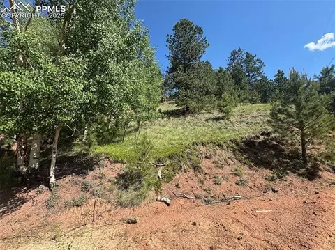 281 Pikes Peak Dr, Divide, CO 80814 photo 5